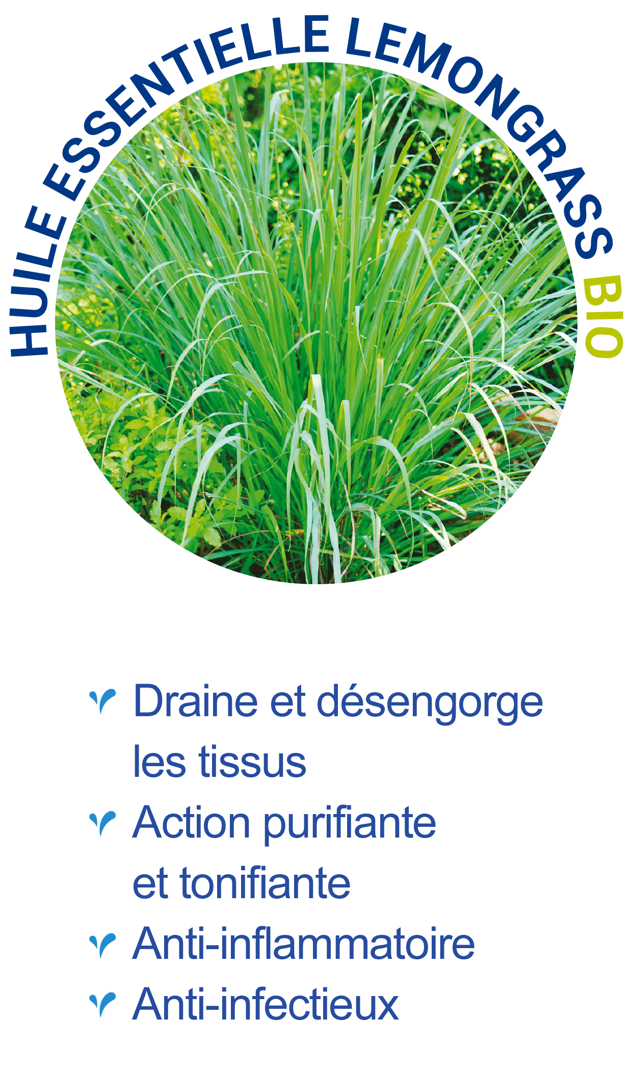 Huile essentielle de lemongrass