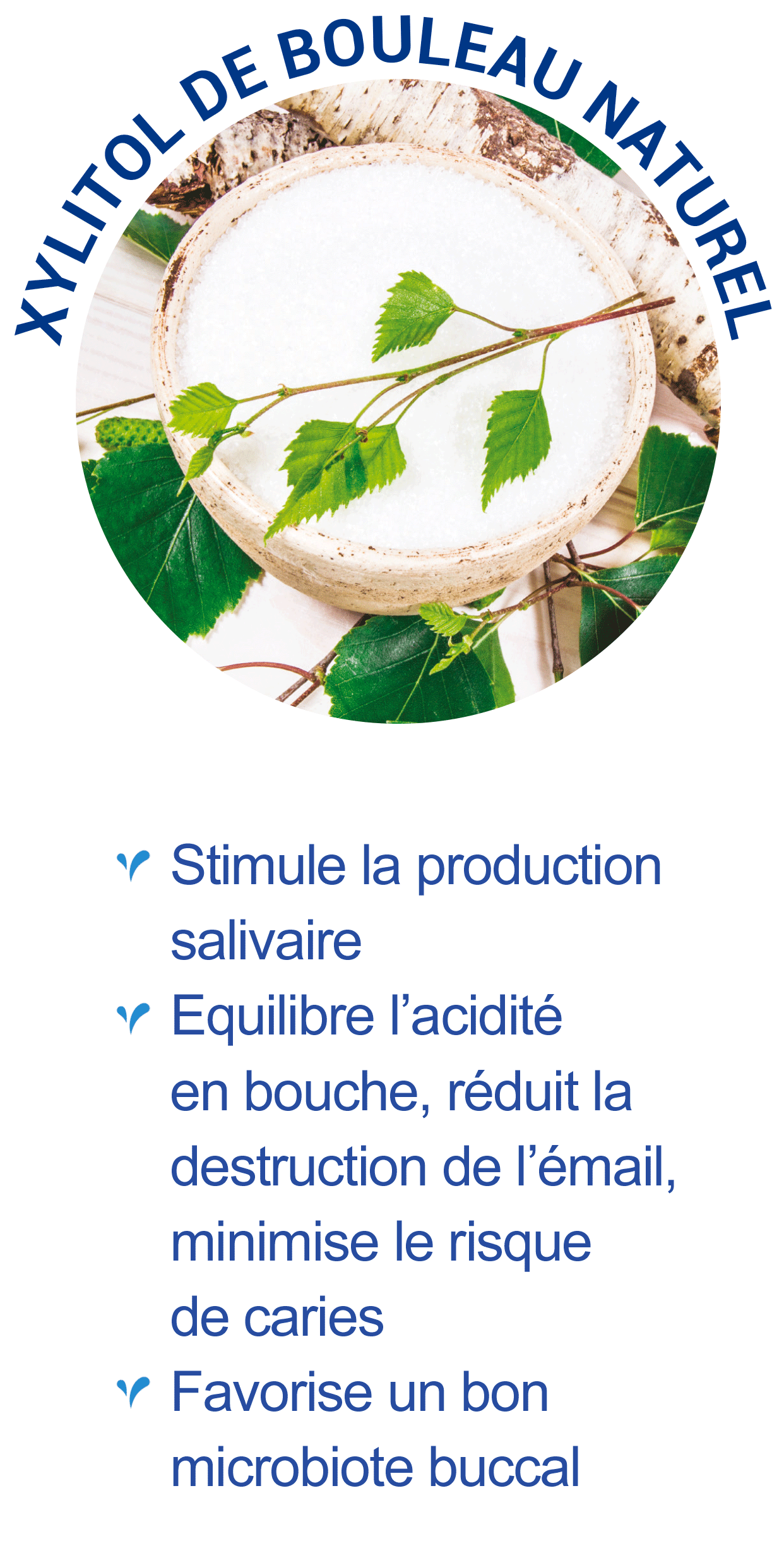 Xylitol naturel (sucre de bouleau)